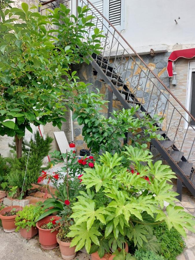Herta Apartment Berat Ngoại thất bức ảnh